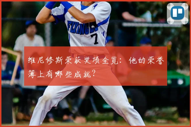 维尼修斯荣获奖项全览：他的荣誉簿上有哪些成就？