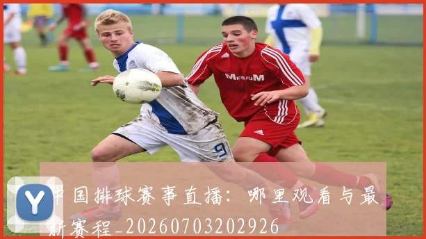 中国排球赛事直播:哪里观看与最新赛程_20260703202926