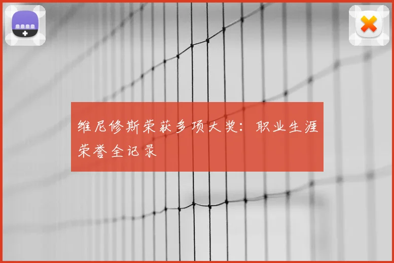 维尼修斯荣获多项大奖：职业生涯荣誉全记录