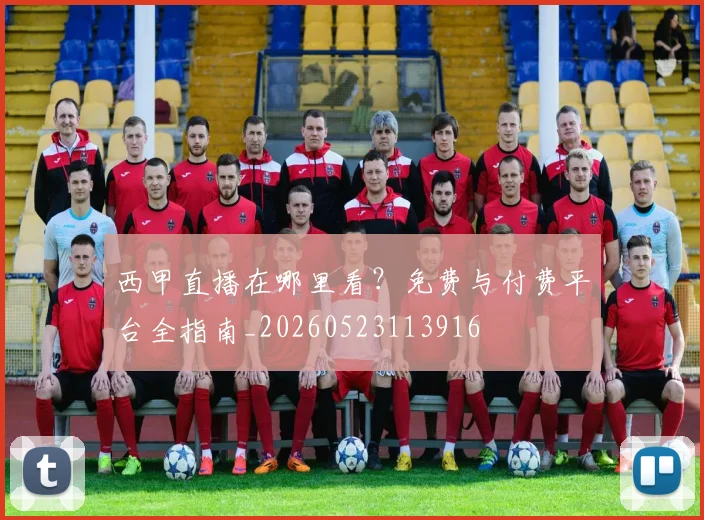 西甲直播在哪里看？免费与付费平台全指南_20260523113916