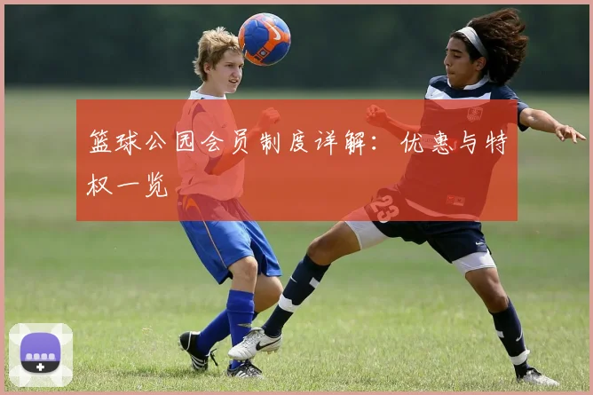 篮球公园会员制度详解：优惠与特权一览