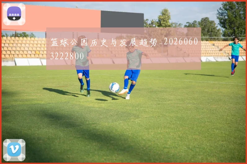 篮球公园历史与发展趋势_20260603222800